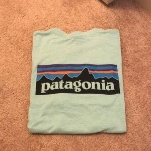 mint patagonia tee